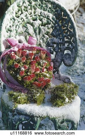 Stock Photograph - Basket of pink roses and moss on old garden chair covered with snow. Fotosearch
