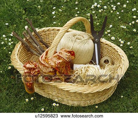 Basket with twine, twigs and shears on a chamomile lawn. View Large Photo Image Stock Image - Basket with twine, twigs and shears on a chamomile lawn.. Fotosearch
