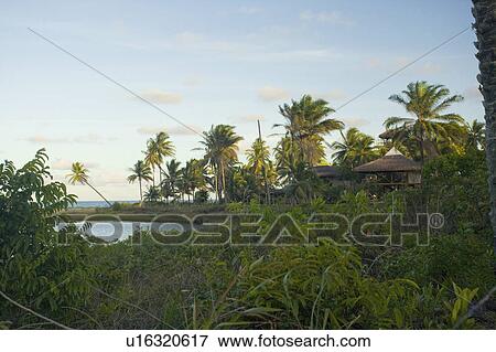 Stock Photo - Beach house in Brazil surrounded by palms.. Fotosearch