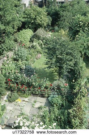 Stock Photo - Birdseye view of trees and lawn in large town garden in summer. Fotosearch