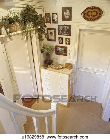 Birdseye view of white hall with houseplants on shelf above door View Large Photo Image Stock Photo - Birdseye view of white hall with houseplants on shelf above door. Fotosearch
