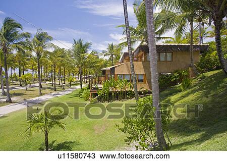 Brazil Beach house in Brazil. Beach house in Brazil overlooking sea and surrounded by palm trees. View Large Photo Image Stock Image - Brazil Beach house in Brazil. Beach house in Brazil overlooking sea and surrounded by palm trees.. Fotosearch