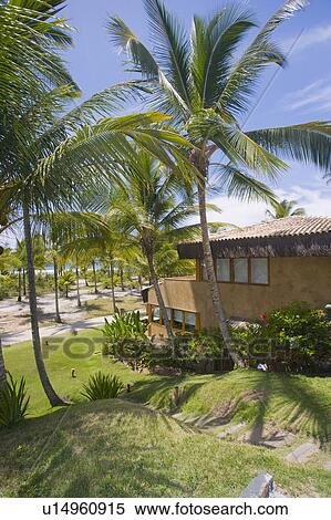 Stock Photography - Brazil Beach house in Brazil. Beach house in Brazil overlooking sea and surrounded by palm trees.. Fotosearch