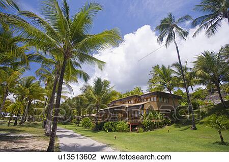 Brazil Beach house in Brazil. View Large Photo Image Stock Image - Brazil Beach house in Brazil.. Fotosearch