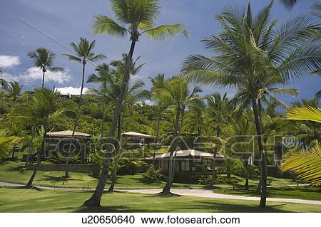 Stock Image - Brazil. Beach Houses.. Fotosearch