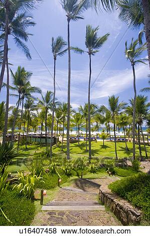 Brazil Brazilian hotel gardens by the sea. View Large Photo Image Stock Photo - Brazil Brazilian hotel gardens by the sea.. Fotosearch