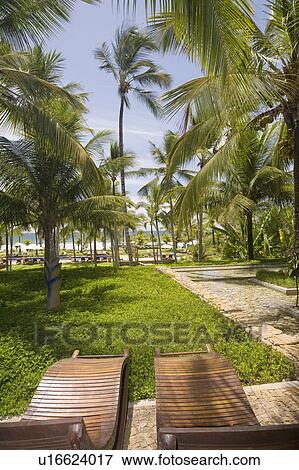Brazil Brazilian hotel gardens by the sea. View Large Photo Image Stock Photo - Brazil Brazilian hotel gardens by the sea.. Fotosearch