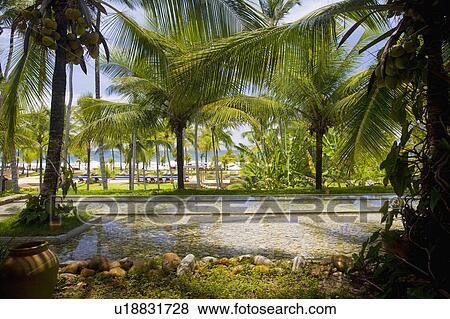 Brazil Brazilian hotel gardens by the sea. View Large Photo Image Stock Photo - Brazil Brazilian hotel gardens by the sea.. Fotosearch