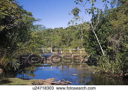 Brazil. Footbridge. River. View Large Photo Image Stock Image - Brazil. Footbridge. River.. Fotosearch