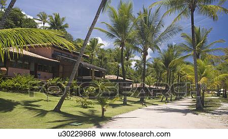 Stock Photo - Brazil. House. Path.. Fotosearch