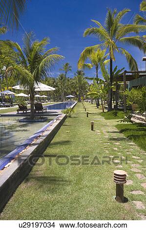 Brazil. Outdoor pool. View Large Photo Image Picture - Brazil. Outdoor pool. . Fotosearch