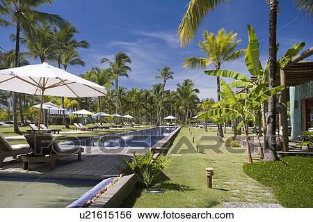 Stock Photograph - Brazil. Outdoor pool. Umbrellas. Chairs.. Fotosearch