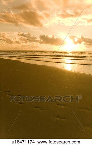 Picture - Brazil View of beach in Brazil.. Fotosearch