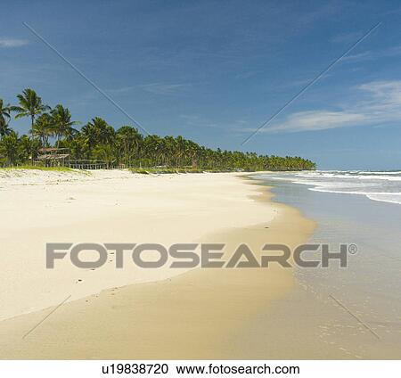Brazil View of beach in Brazil. View Large Photo Image Stock Image - Brazil View of beach in Brazil.. Fotosearch