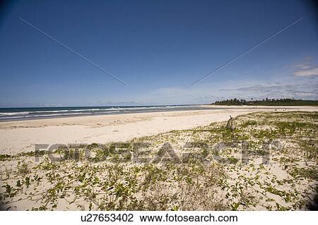 Brazil View of beach in Brazil. View Large Photo Image Stock Image - Brazil View of beach in Brazil.. Fotosearch