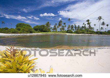 Brazil View of beach in Brazil. View Large Photo Image Stock Photography - Brazil View of beach in Brazil.. Fotosearch