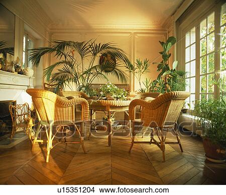 Picture - Cane chairs and lush green houseplants in French townhouse dining room. Fotosearch