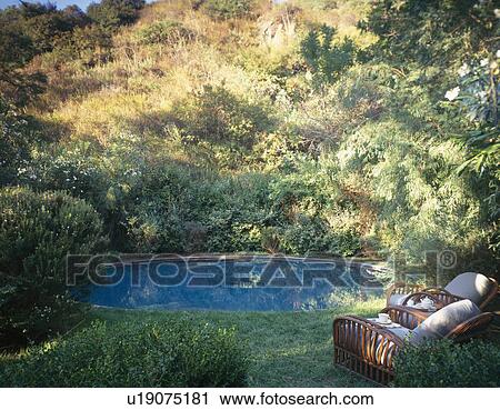 Circular pool surrounded by small trees in Californian garden View Large Photo Image Stock Image - Circular pool surrounded by small trees in Californian garden. Fotosearch