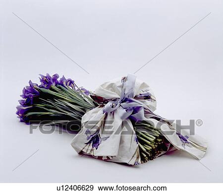 Close-up of a bunch of blue irises tied with blue+white silk scarf View Large Photo Image Stock Photo - Close-up of a bunch of blue irises tied with blue+white silk scarf. Fotosearch