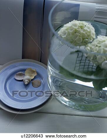 Close-up of blue plates and glass vase View Large Photo Image Stock Image - Close-up of blue plates and glass vase. Fotosearch