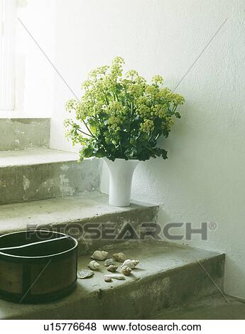 Close-up of cream flowers in vase on stone stairs View Large Photo Image Stock Photo - Close-up of cream flowers in vase on stone stairs. Fotosearch