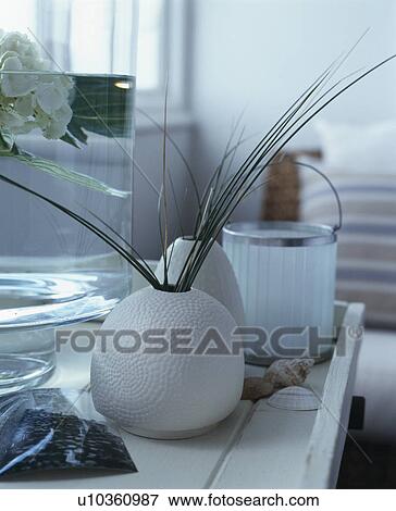 Close-up of grasses in white pot on white table View Large Photo Image Stock Photo - Close-up of grasses in white pot on white table. Fotosearch
