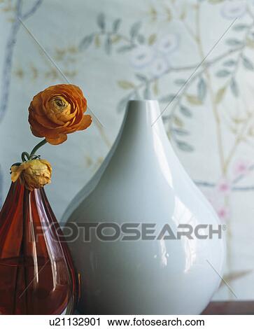 Stock Image - Close-up of orange ranunculus in modern red glass vase beside white vase. Fotosearch