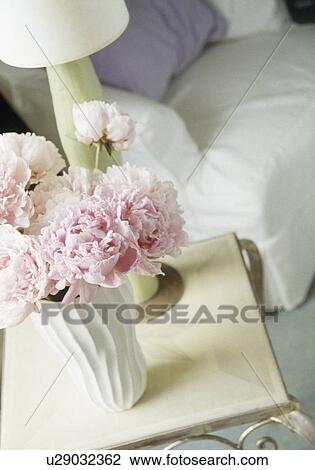 Close-up of pink flowers in white vase View Large Photo Image Stock Image - Close-up of pink flowers in white vase. Fotosearch