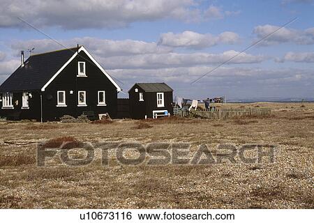 Derek Jarman's black wooden beach house and gravel garden at Dungeness in Kent View Large Photo Image Stock Photograph - Derek Jarman's black wooden beach house and gravel garden at Dungeness in Kent. Fotosearch