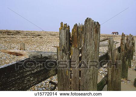 Dilapidated wooden breakwater on shingle beach at Rye in Kent View Large Photo Image Picture - Dilapidated wooden breakwater on shingle beach at Rye in Kent. Fotosearch