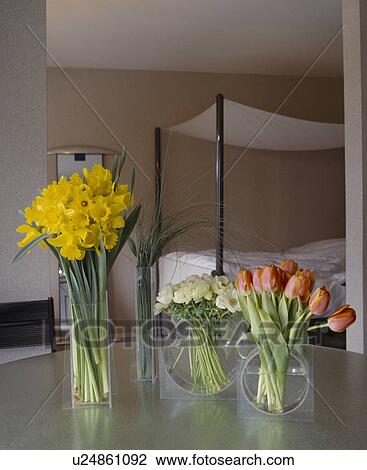Stock Image - Glass vases of daffodils and tulips on table in foreground of modern bedroom. Fotosearch
