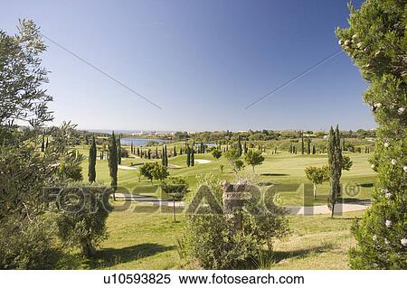 Golf course with young cypress trees and lake in distance, View Large Photo Image Stock Photography - Golf course with young cypress trees and lake in distance,. Fotosearch
