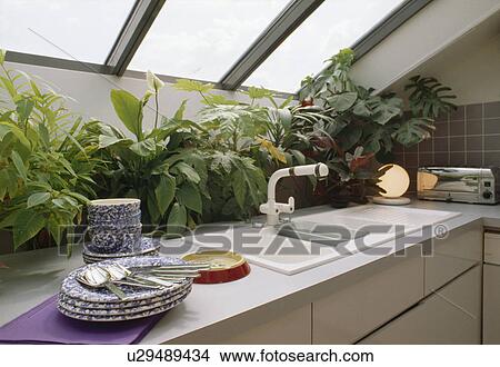 Houseplants below skylight window in modern attic kitchden View Large Photo Image Picture - Houseplants below skylight window in modern attic kitchden. Fotosearch