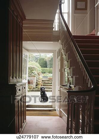 Stock Photo - Large cupboard in country hall with dog sitting in open doorway. Fotosearch