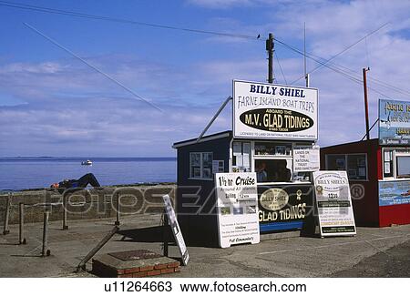Stock Image - Man lying on stone wall behind hut selling boat trips from Seahouses to Farne Islands in Northumberland. Fotosearch