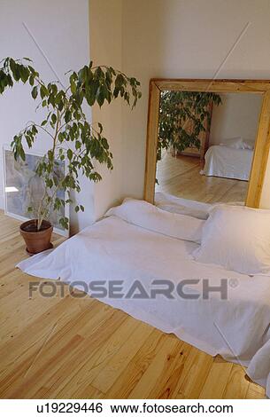 Stock Photograph - Mirror and houseplant beside bed with white bedlinen on wooden flooring in modern room&#10;. Fotosearch
