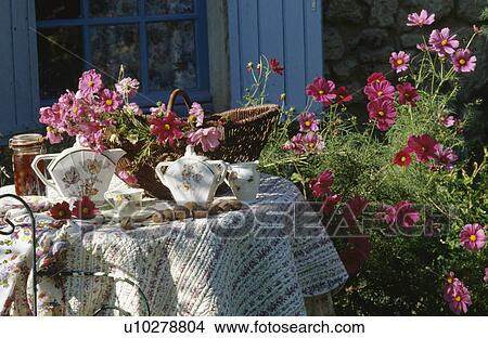 Old china on circular table with quilted cloth in front of pink cosmos in garden border View Large Photo Image Picture - Old china on circular table with quilted cloth in front of pink cosmos in garden border. Fotosearch