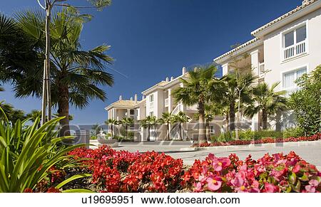 Palm trees and red begonias in front of new build houses in Southern Spain. View Large Photo Image Stock Image - Palm trees and red begonias in front of new build houses in Southern Spain.. Fotosearch