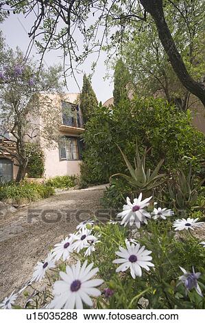 Path through mediterranean garden to blue shuttered house. View Large Photo Image Stock Photo - Path through mediterranean garden to blue shuttered house.. Fotosearch