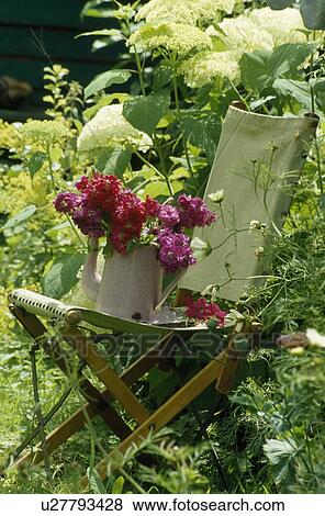 Stock Photo - Pink geraniums in old teapot on pale green canvas garden chair in front of white hydrangeas. Fotosearch