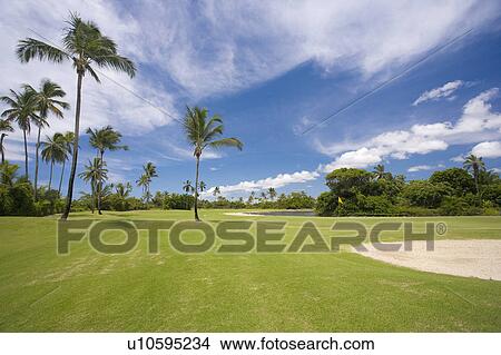 Playing Golf in Brazil View Large Photo Image Picture - Playing Golf in Brazil. Fotosearch