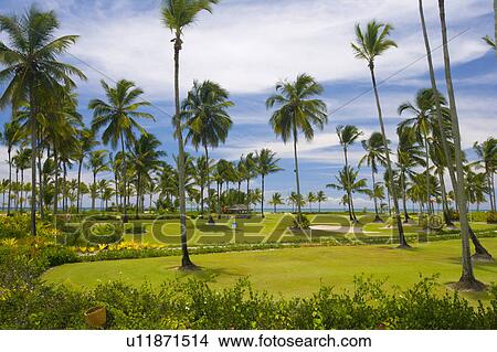 Playing Golf in Brazil View Large Photo Image Picture - Playing Golf in Brazil. Fotosearch