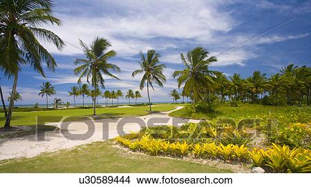 Picture - Playing Golf in Brazil. Fotosearch