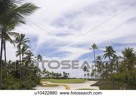 Stock Image - Playing Golf in Brazil. Fotosearch