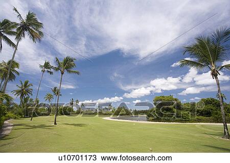 Stock Image - Playing Golf in Brazil. Fotosearch