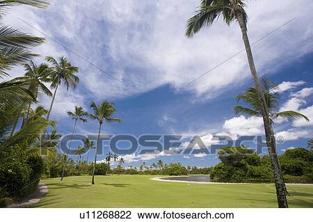 Playing Golf in Brazil View Large Photo Image Stock Image - Playing Golf in Brazil. Fotosearch