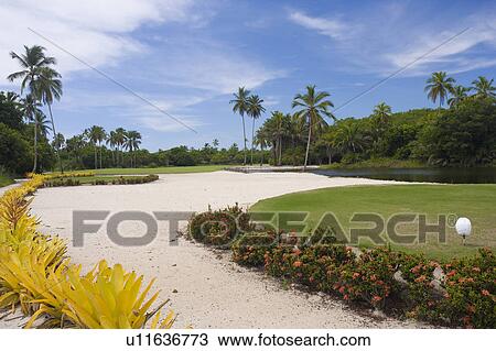 Stock Image - Playing Golf in Brazil. Fotosearch
