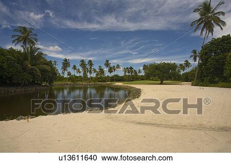 Playing Golf in Brazil View Large Photo Image Stock Image - Playing Golf in Brazil. Fotosearch