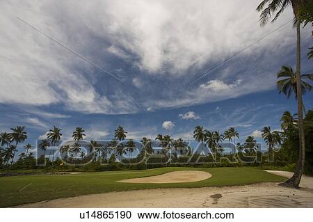Playing Golf in Brazil View Large Photo Image Stock Image - Playing Golf in Brazil. Fotosearch