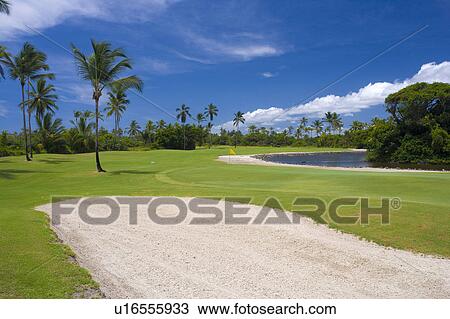 Playing Golf in Brazil View Large Photo Image Stock Image - Playing Golf in Brazil. Fotosearch